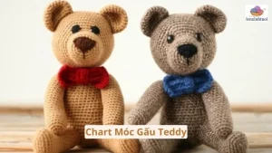 chart móc gấu teddy