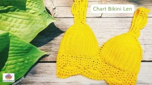 Chart bikini len