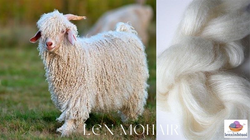 Len Mohair